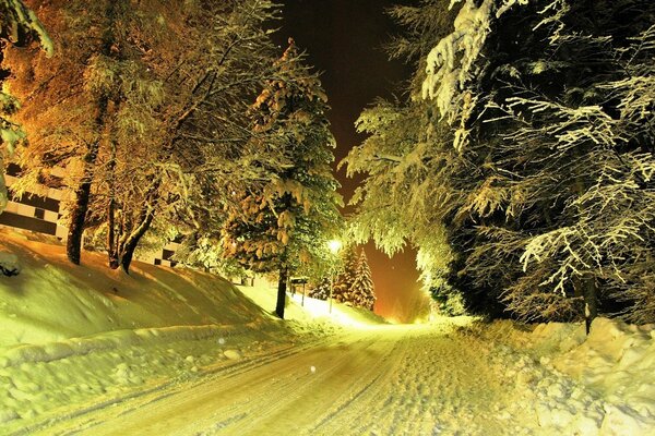 Winter forest, highway