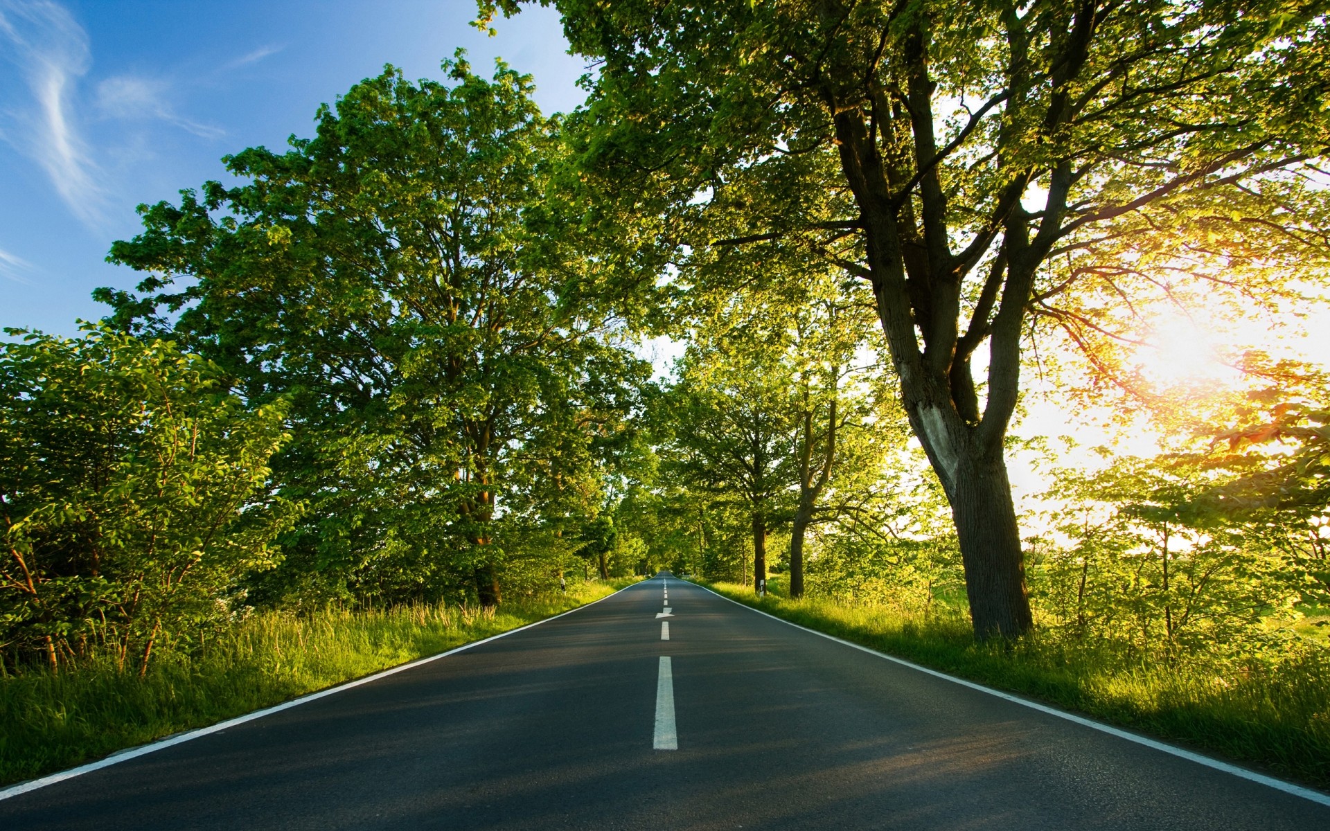 paisaje camino guía árbol paisaje asfalto perspectiva hoja callejón rural naturaleza madera campo carretera sol otoño unidad medio ambiente al aire libre buen tiempo árboles