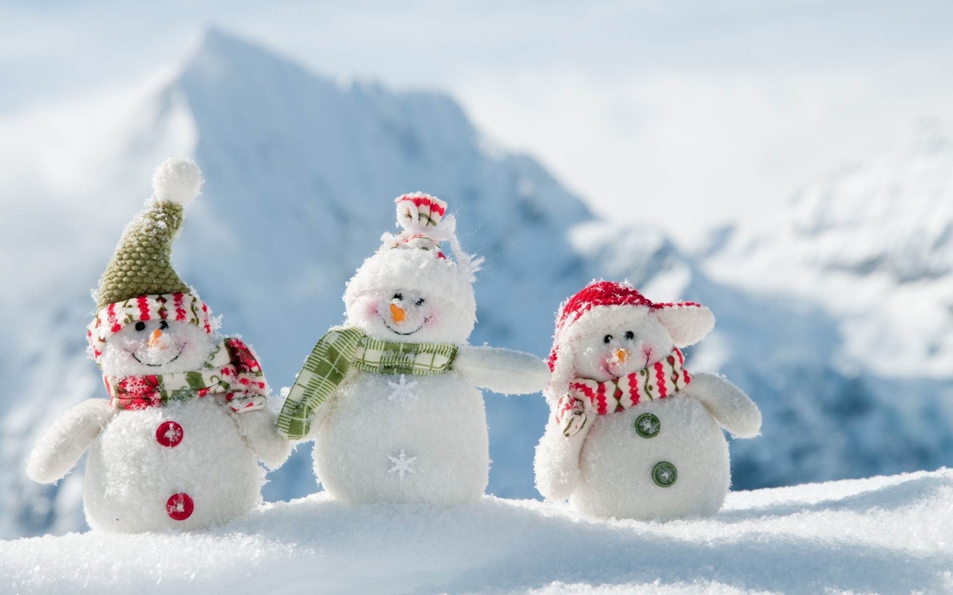 hiver neige gel noël froid bonhomme de neige saison glace givré flocon de neige boule de neige congelé neige-blanc en plein air plaisir noël