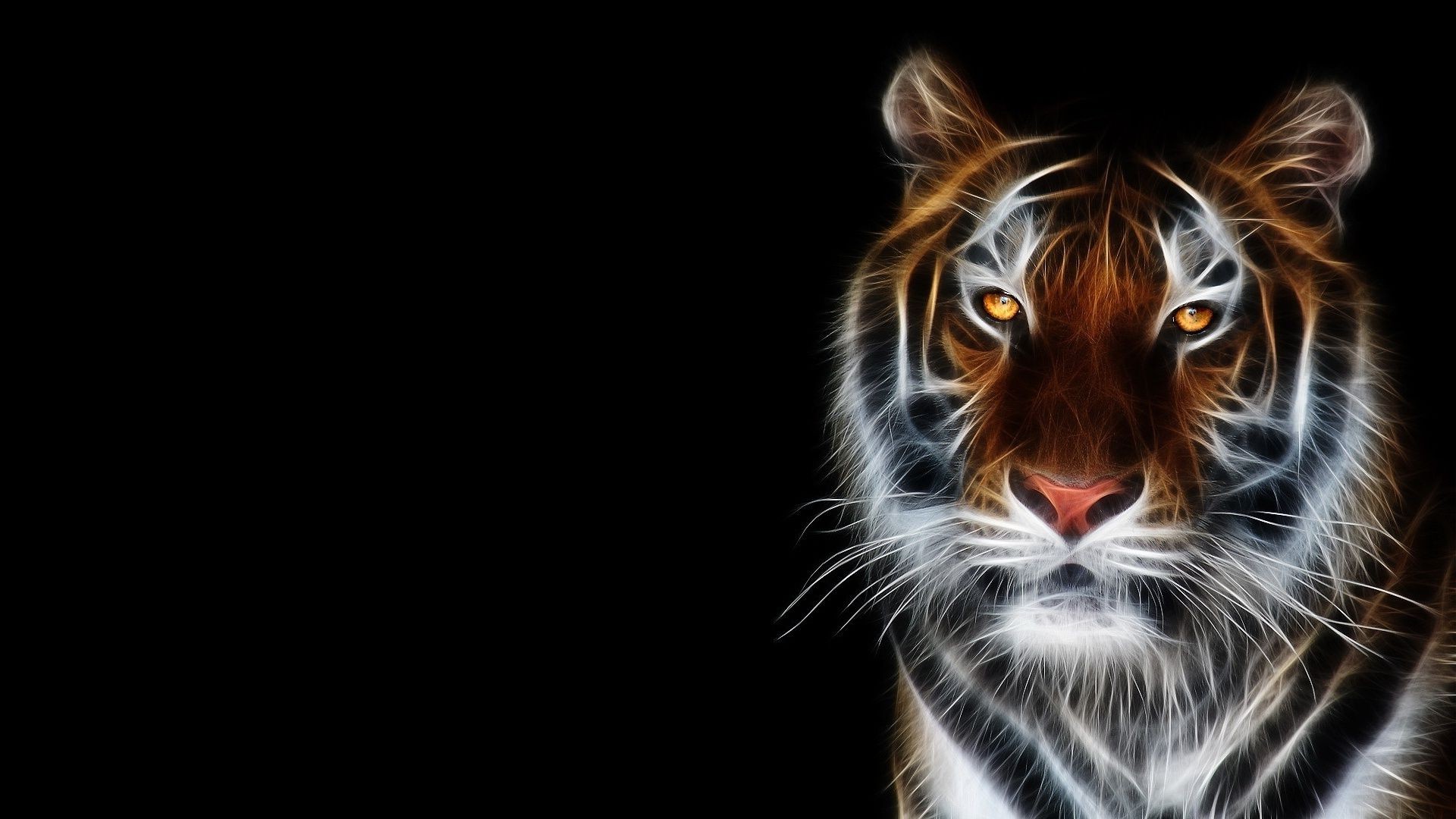 тигры рабочего стола портрет животное