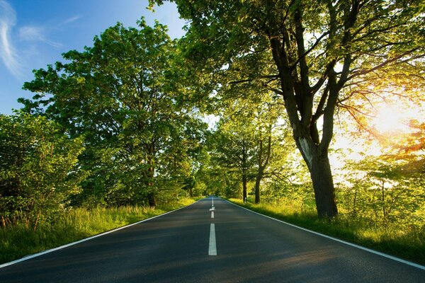 Caminho para o paraíso