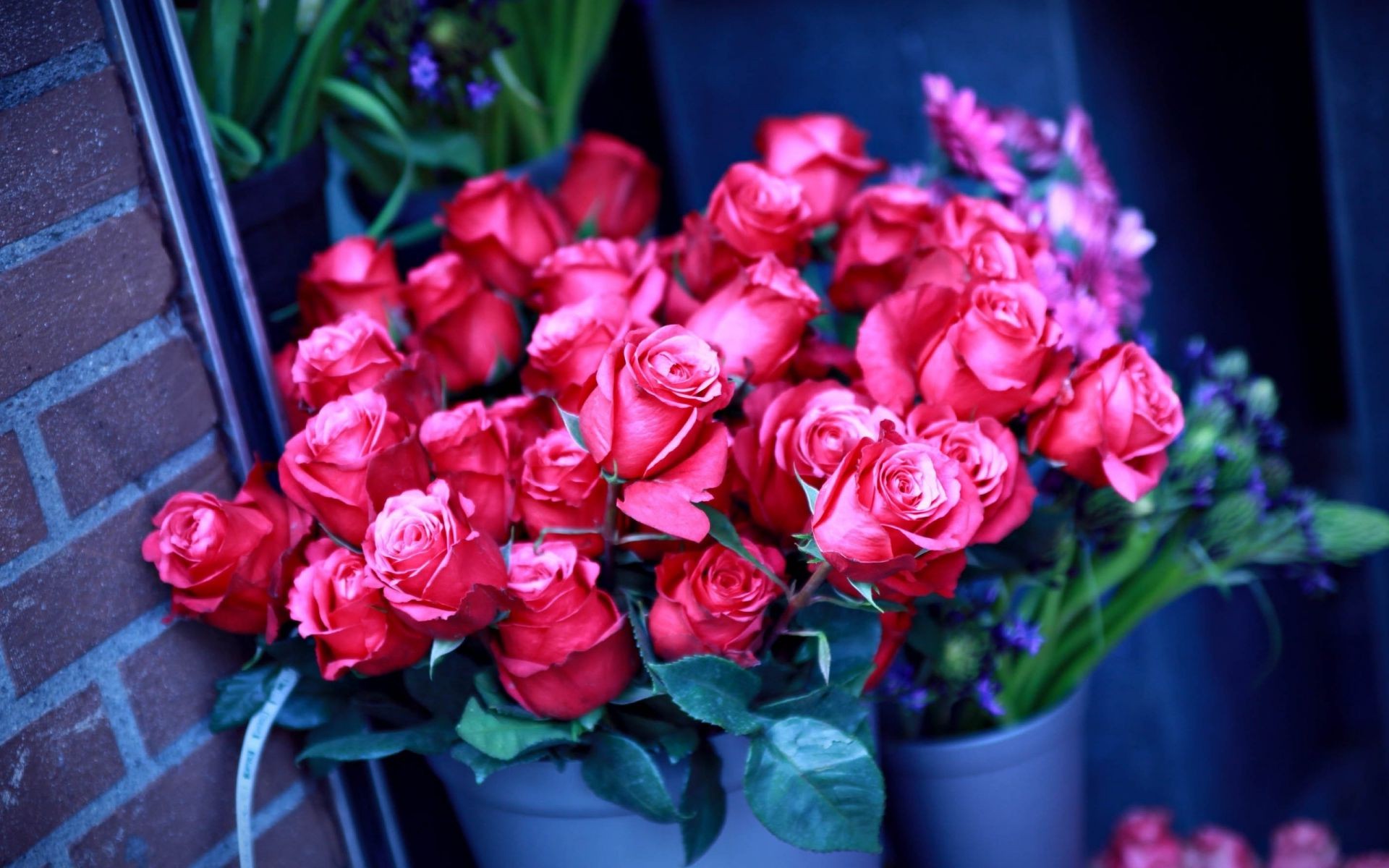розы букет цветок цветочные подарок романтический лепесток любовь романтика флора блюминг украшения праздник расположение свадьба кластер сад природа флорист цвет