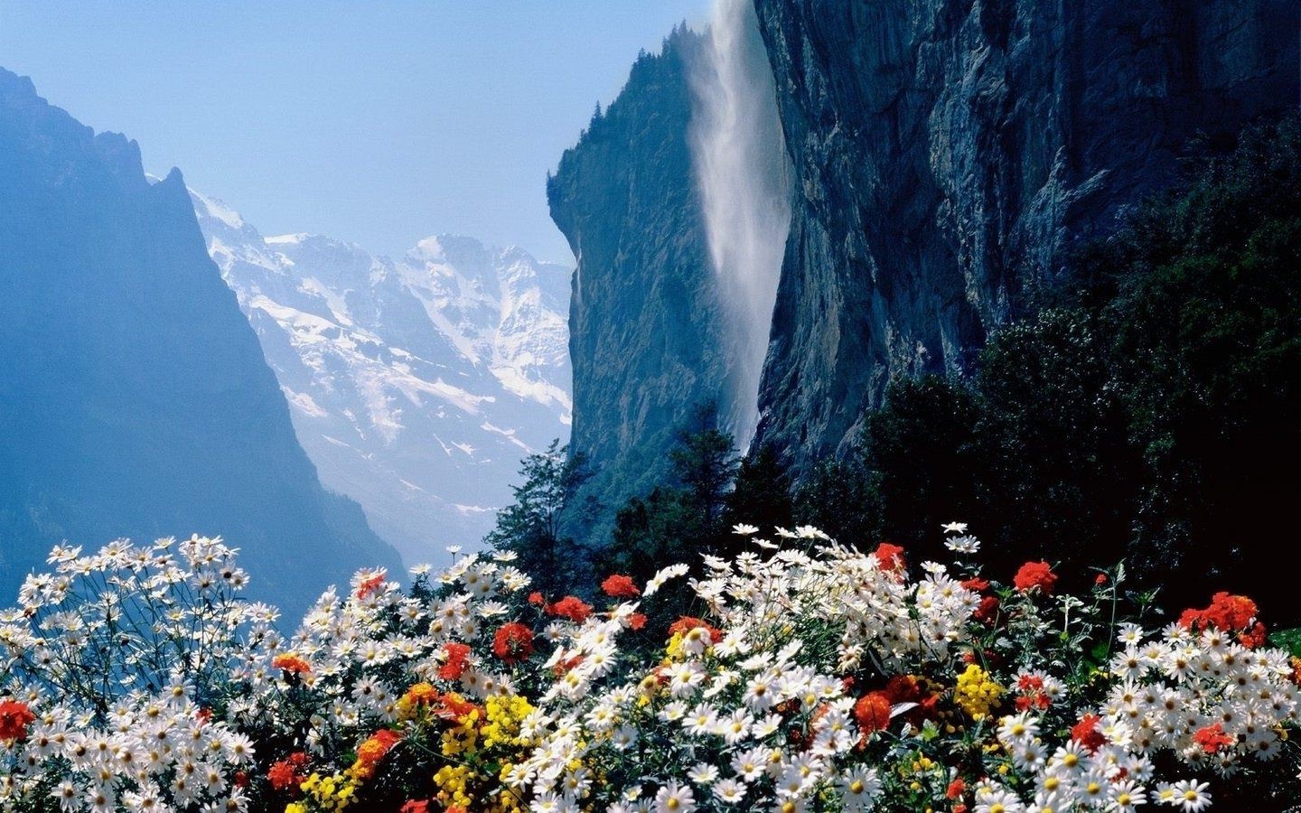 blumen im freien reisen landschaft natur berge tageslicht wasser himmel