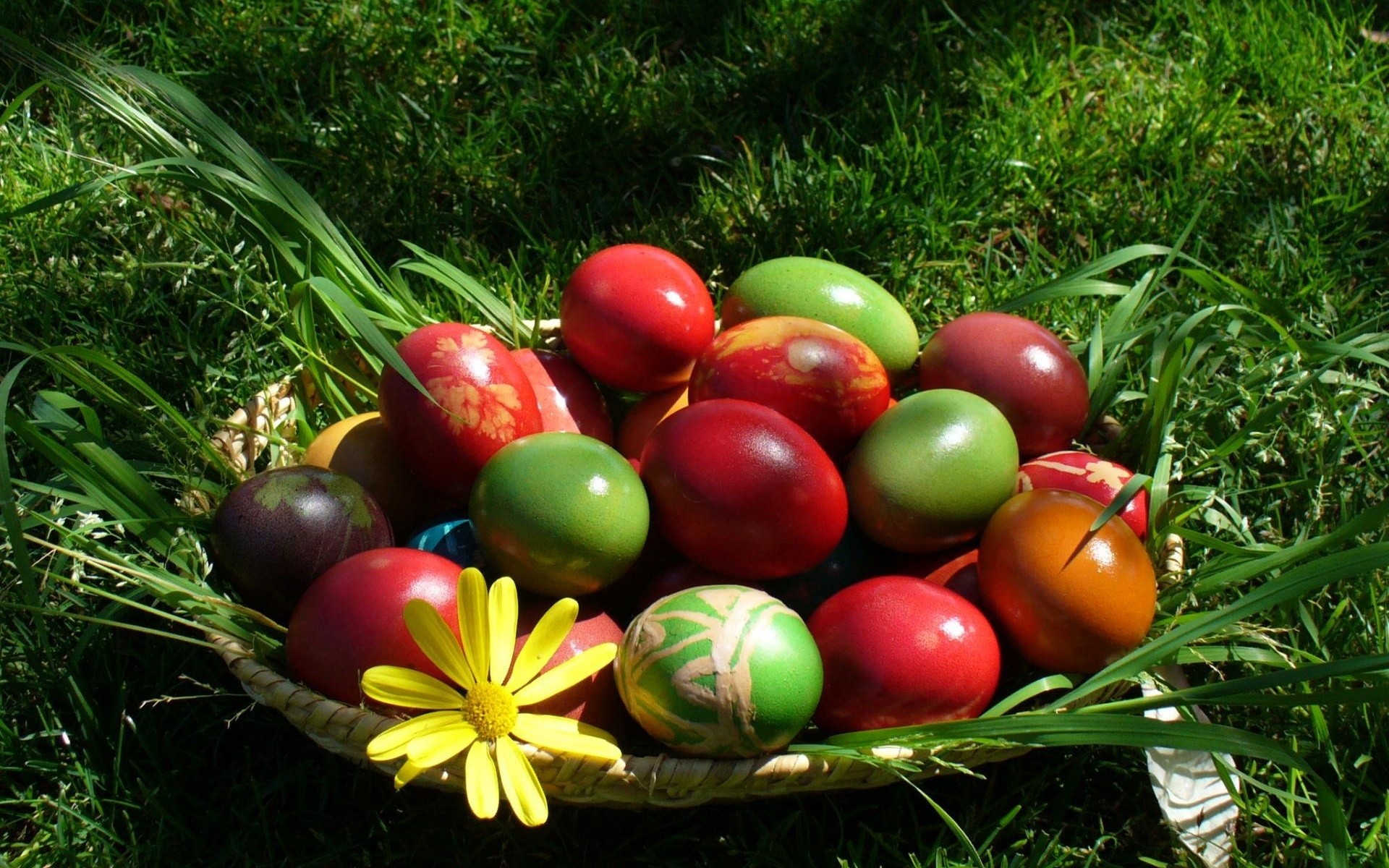 pasqua cibo erba giardino natura foglia cesto stagione decorazione uovo colore