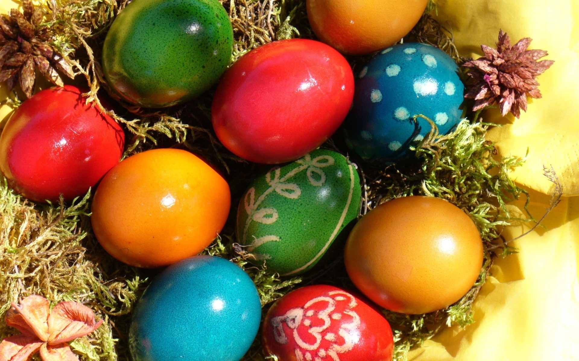 ostern dekoration ei feiertag traditionell leuchten nest essen saison farbe desktop weihnachten hell verzierte winter