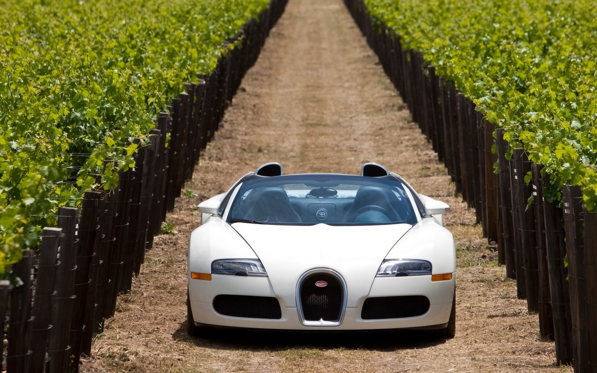 bugatti ao ar livre estrada paisagem viajar carro agricultura sistema de transporte natureza bugatti veeron branco bugatti veeron conversível