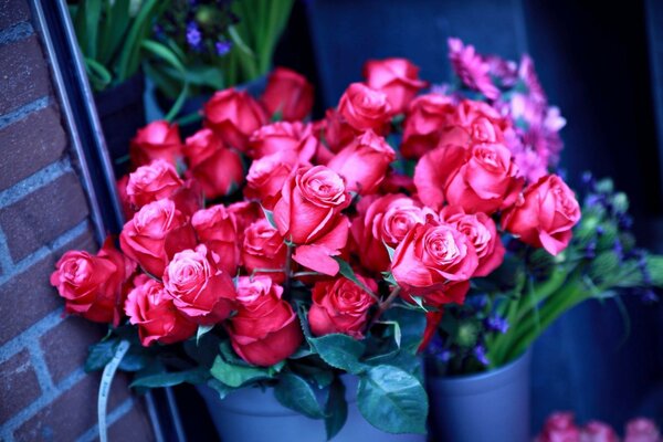 Bellissimo mazzo di rose in un vaso