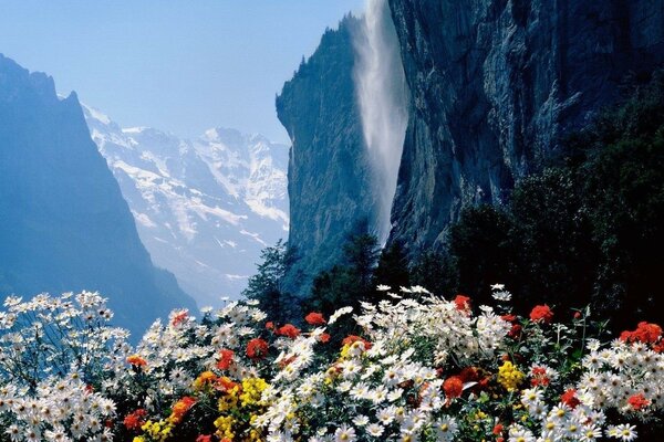 Helle Blumen auf dem Hintergrund der Berge und des Wasserfalls