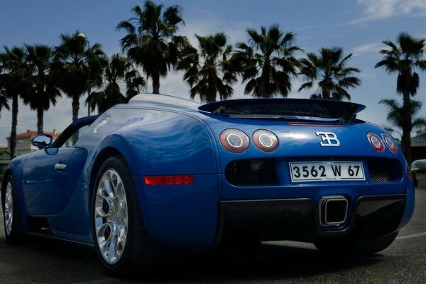 Un coche deportivo bugatti azul contra un fondo de palmeras