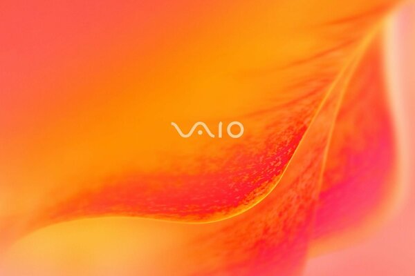 Logo de Sony VAIO en orange