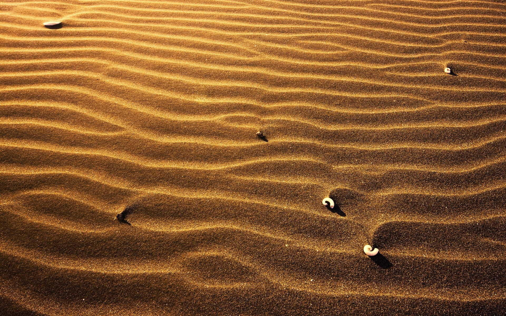 landschaft sand strand wüste fußabdruck unfruchtbar fußstütze eine meer abenteuer düne aride textur muster natur welligkeit einsamkeit schatten füße