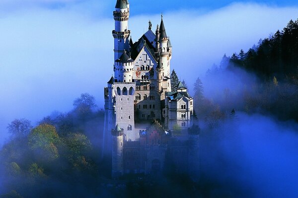 Photos of castles in the fog from the air