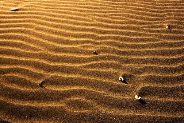 Der Sand in der Wüste löscht alle Spuren