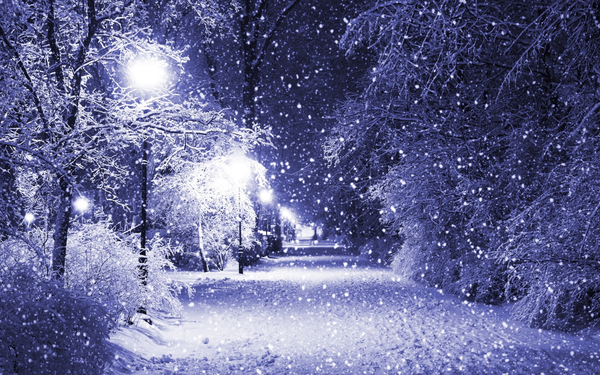 inverno neve geada frio natureza tempo ao ar livre gelo congelado temporada bom tempo natal desktop árvores fundo paisagem