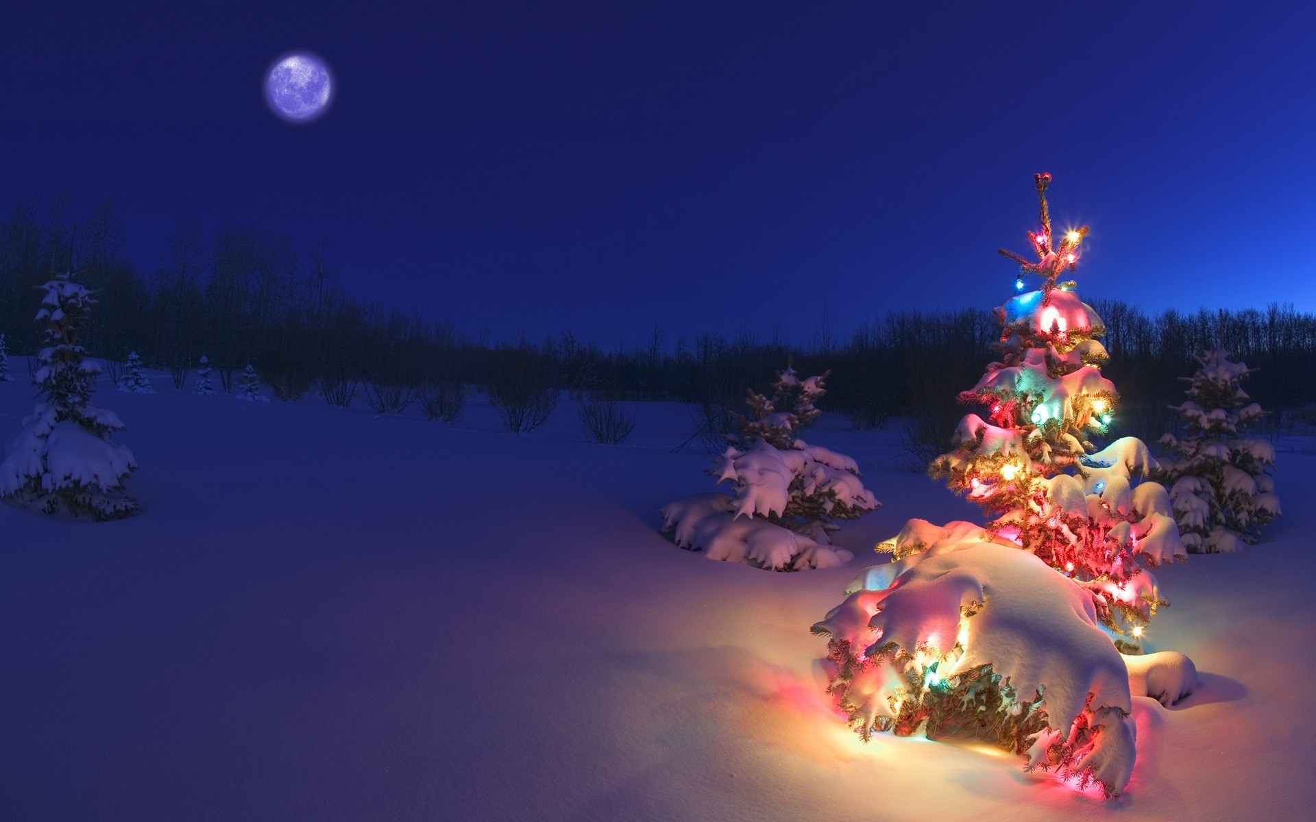 weihnachten winter schnee mond abend im freien himmel urlaub baum hintergrund urlaub