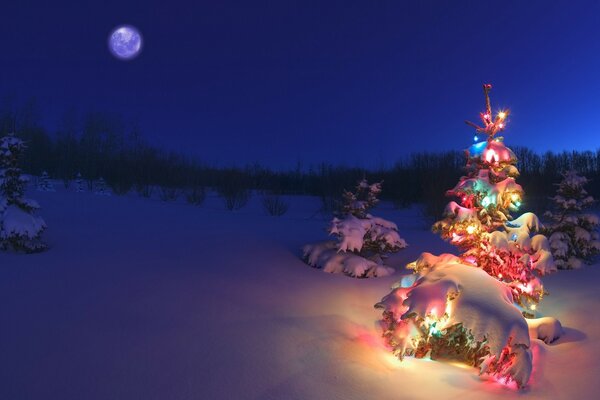 Un albero di Natale in fiamme