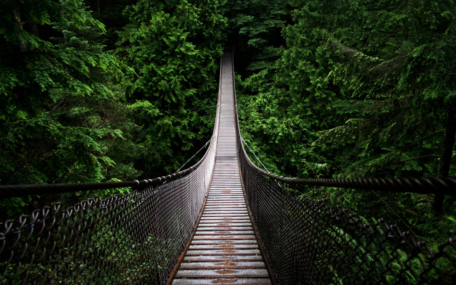 landschaft holz holz brücke führung natur landschaft reisen park spur zu fuß blatt straße im freien landschaftlich pflaster fluss wald landschaft