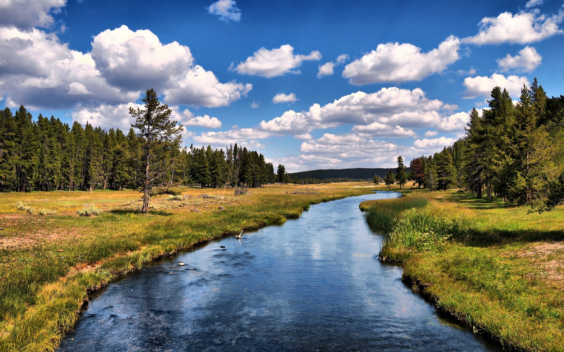 landschaft wasser natur landschaft im freien see holz fluss reflexion gras baum himmel reisen sommer gelassenheit fluss bäume wyoming yellowstone national park drc