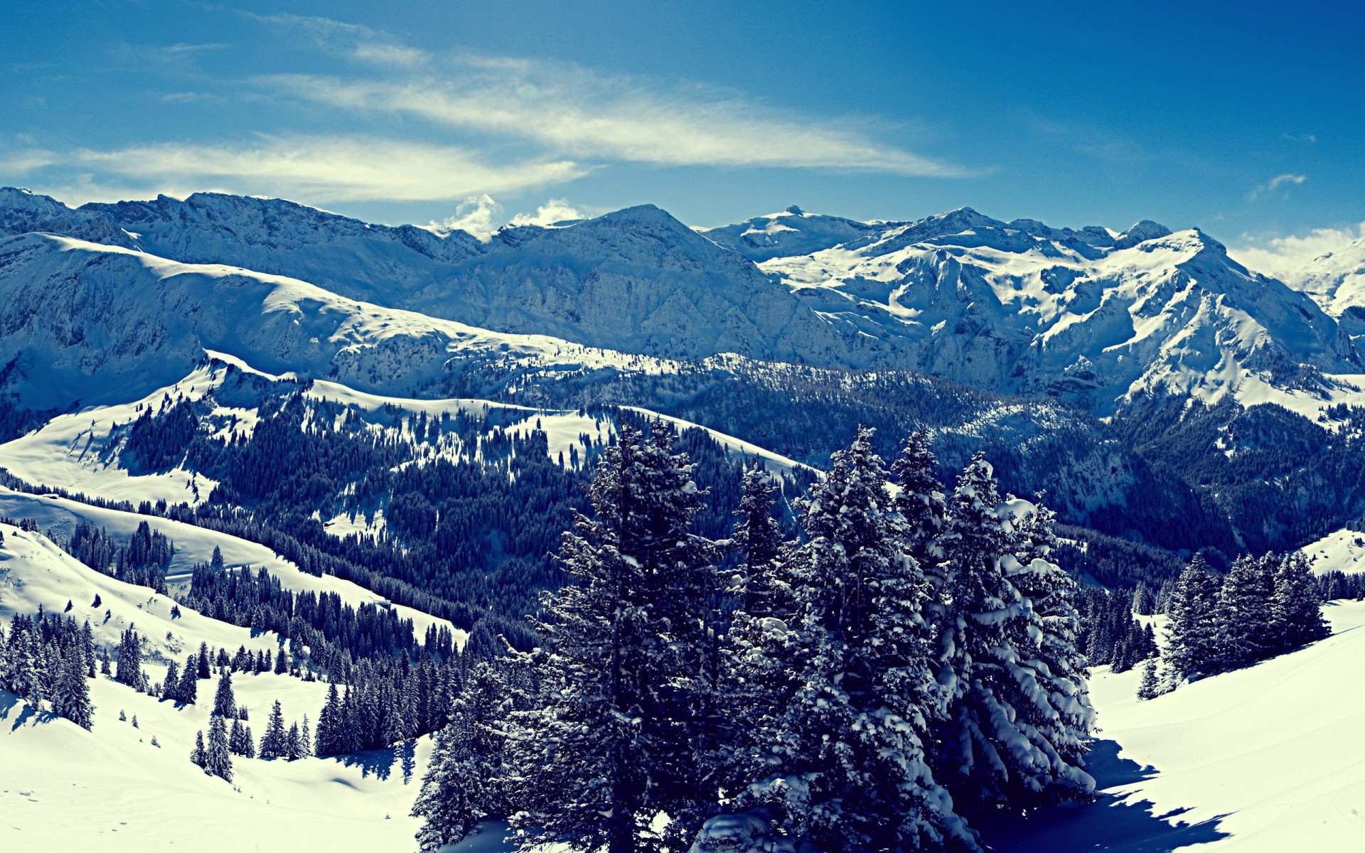 hiver neige montagnes scénique bois pic de montagne paysage glace vallée alpine froid evergreen voyage à l extérieur paysages fond nature