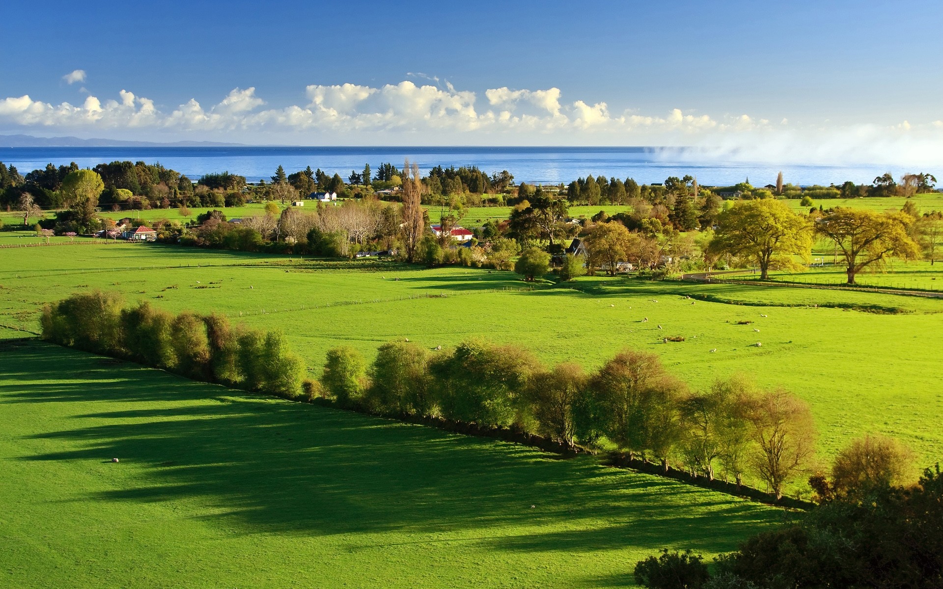 paysage golf bip paysage fairway herbe bien sûr golfeur tee bunker nature trou arbre scénique vapeur foin campagne champ extérieur pelouse printemps mer arbres ciel jour