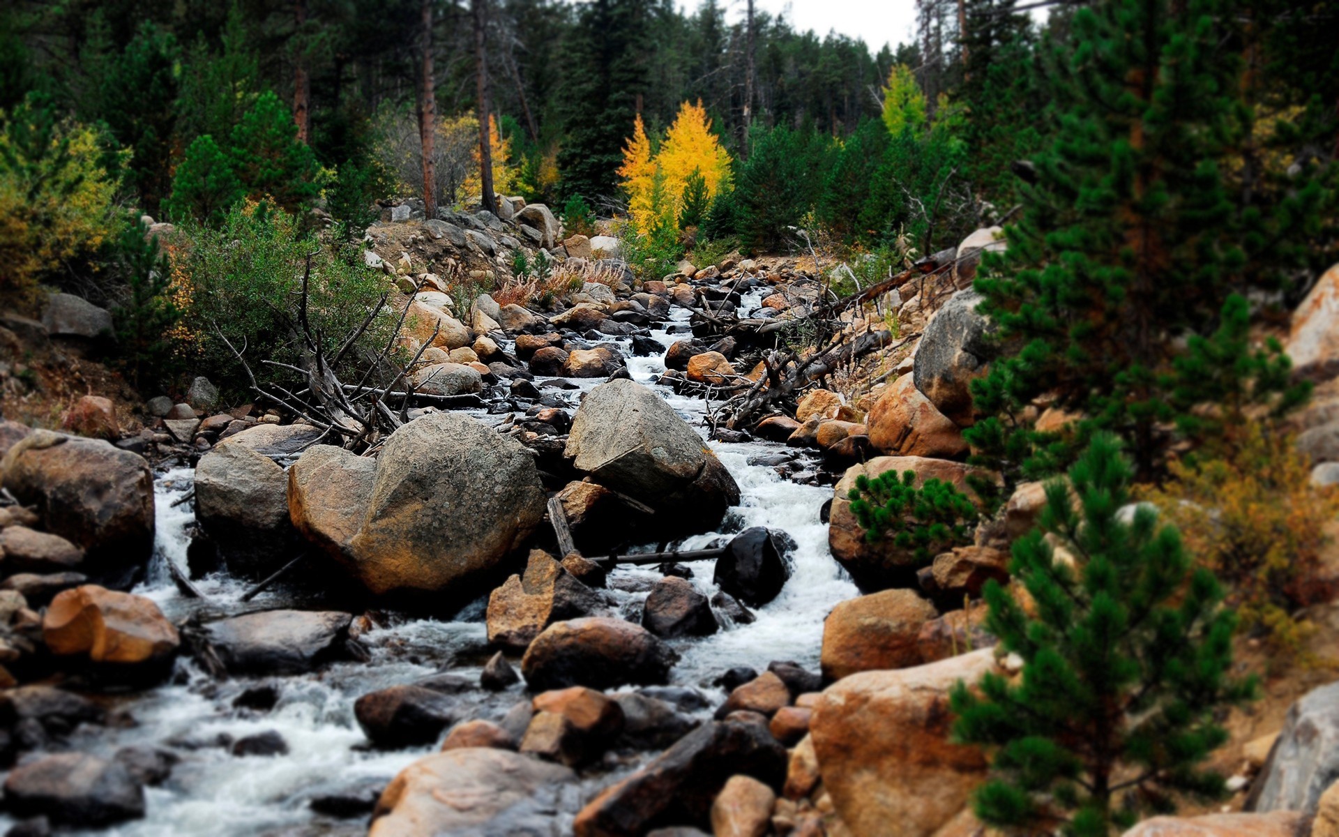 landscapes nature water stream wood outdoors rock fall river tree leaf waterfall landscape creek mountain travel park stone environment flow trees forest stones rocks