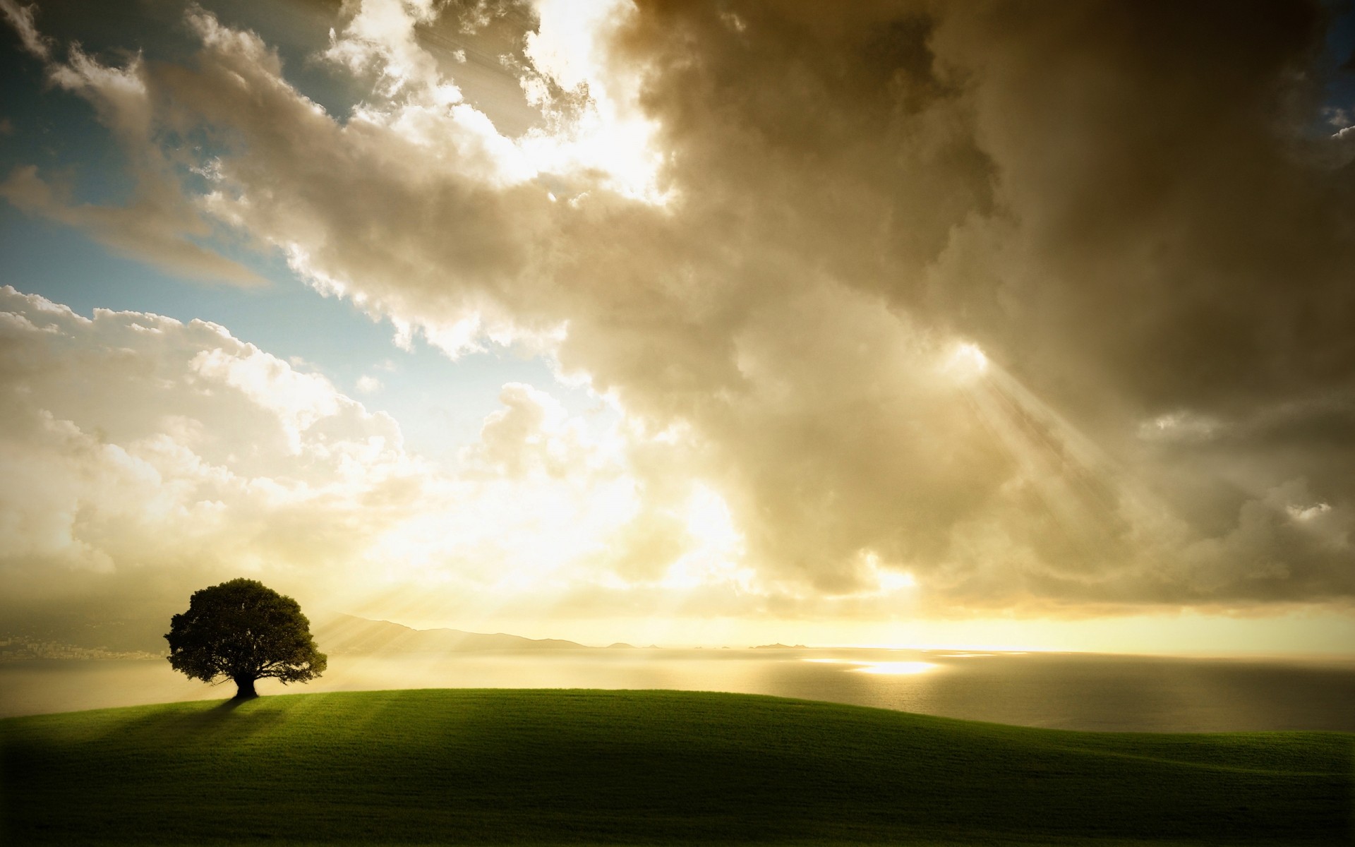 landschaft sonnenuntergang himmel sonne landschaft dämmerung natur gutes wetter gras sturm im freien landschaft wetter des ländlichen raumes wolke sommer abend dramatisch bäume feld