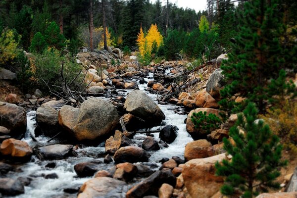 Un arroyo entre las piedras en el bosque de otoño