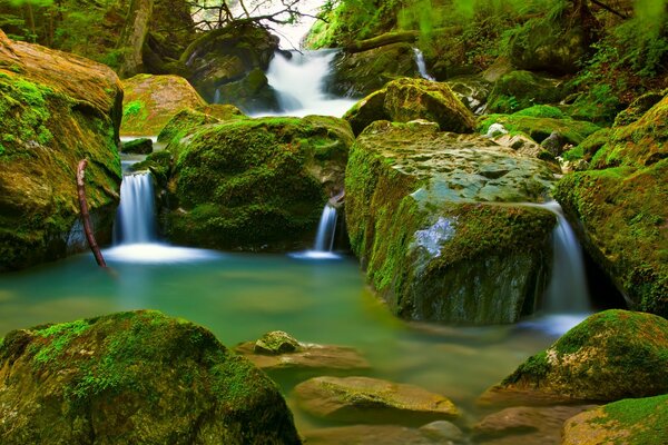 Das Wasser fließt in einen trüben Teich