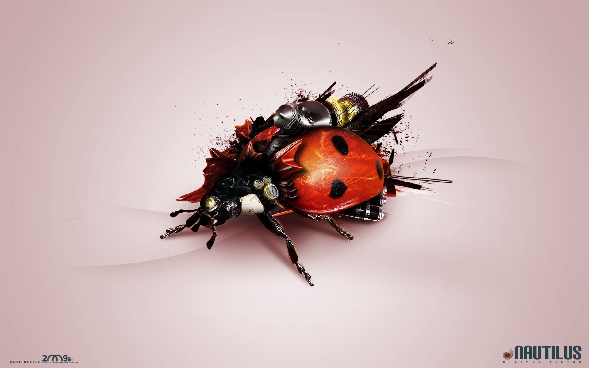 phototraitement insecte scarabée biologie nature coccinelle peu à l extérieur la faune bug résumé photo manipulée