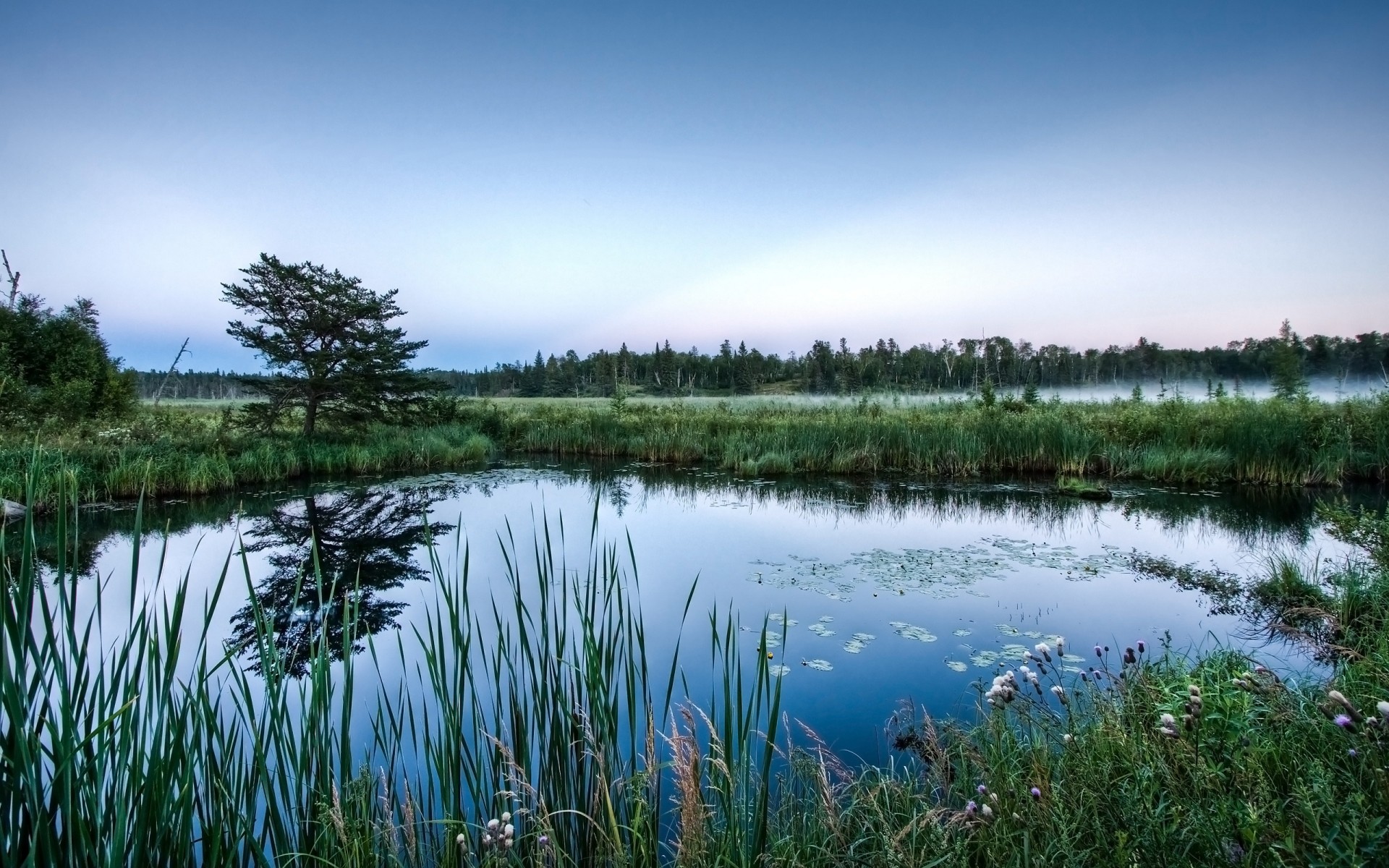 paysage eau réflexion lac nature paysage à l extérieur ciel rivière herbe voyage piscine mars été bois sang-froid incroyable belle forêt bois