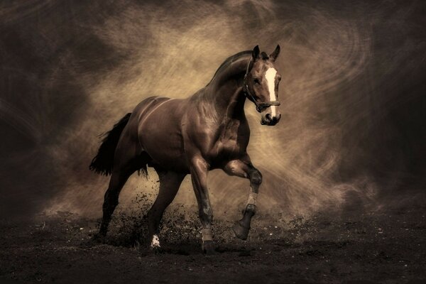 A brown horse beats its hooves on the ground