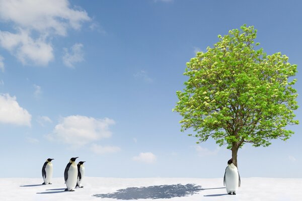 An unreal combination - penguins and a tree