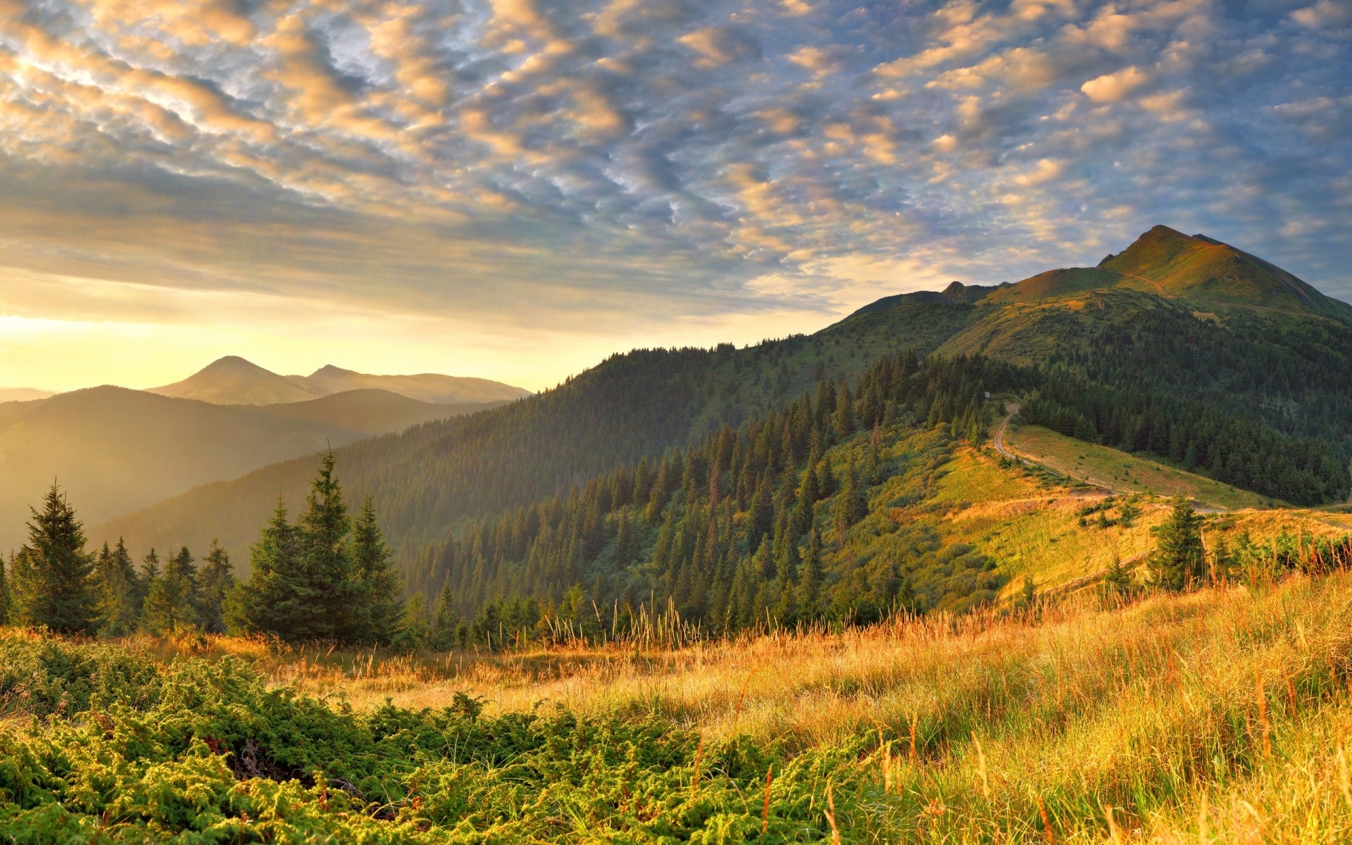 paisaje montaña paisaje viajes al aire libre puesta de sol naturaleza otoño amanecer nieve cielo valle noche niebla madera montañas hierba árboles brillo