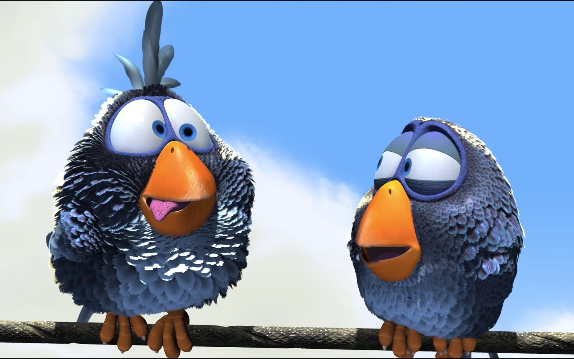 movies bird animal feather wildlife nature beak wing wild cute fun funny animated film pixar anime