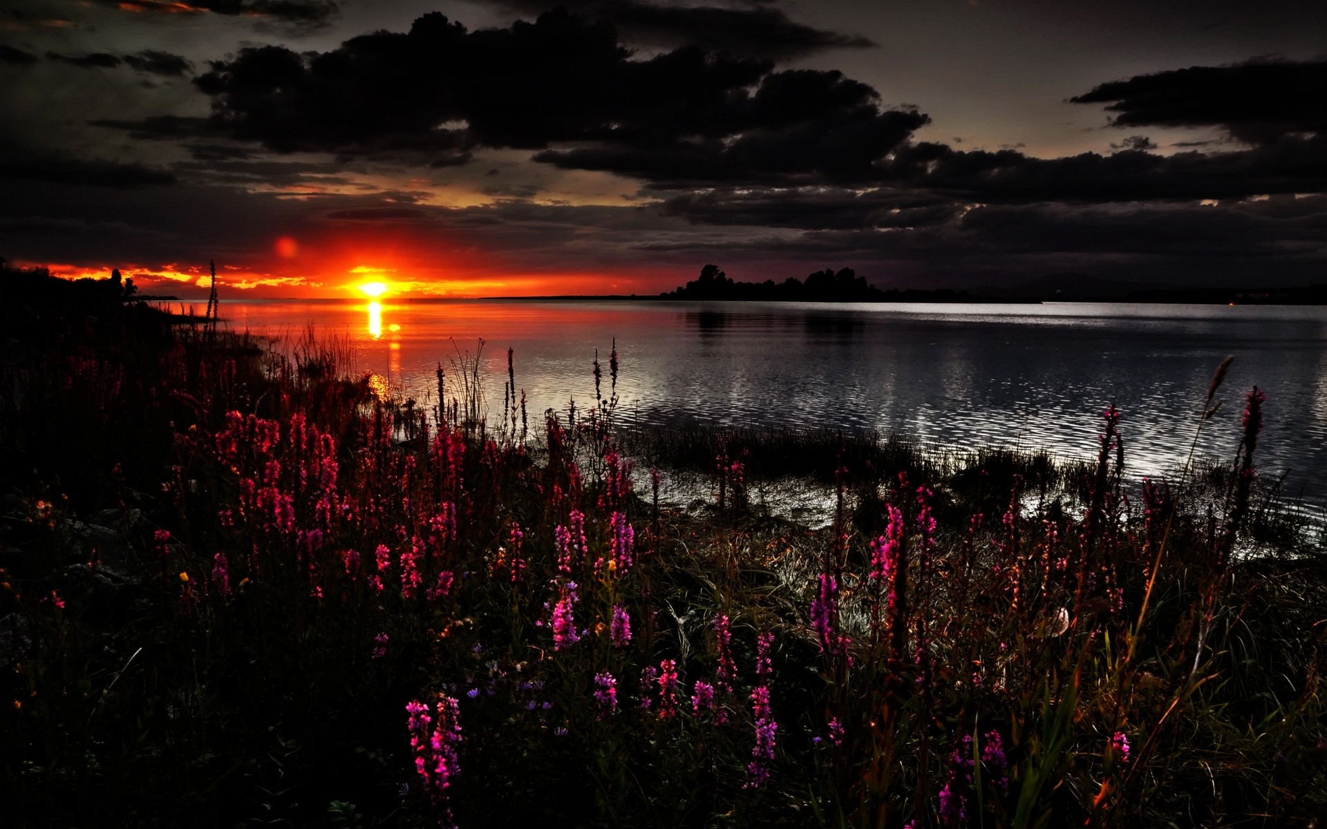 paisaje puesta de sol amanecer agua crepúsculo noche paisaje al aire libre sol lago luz cielo naturaleza flores nubes secenery