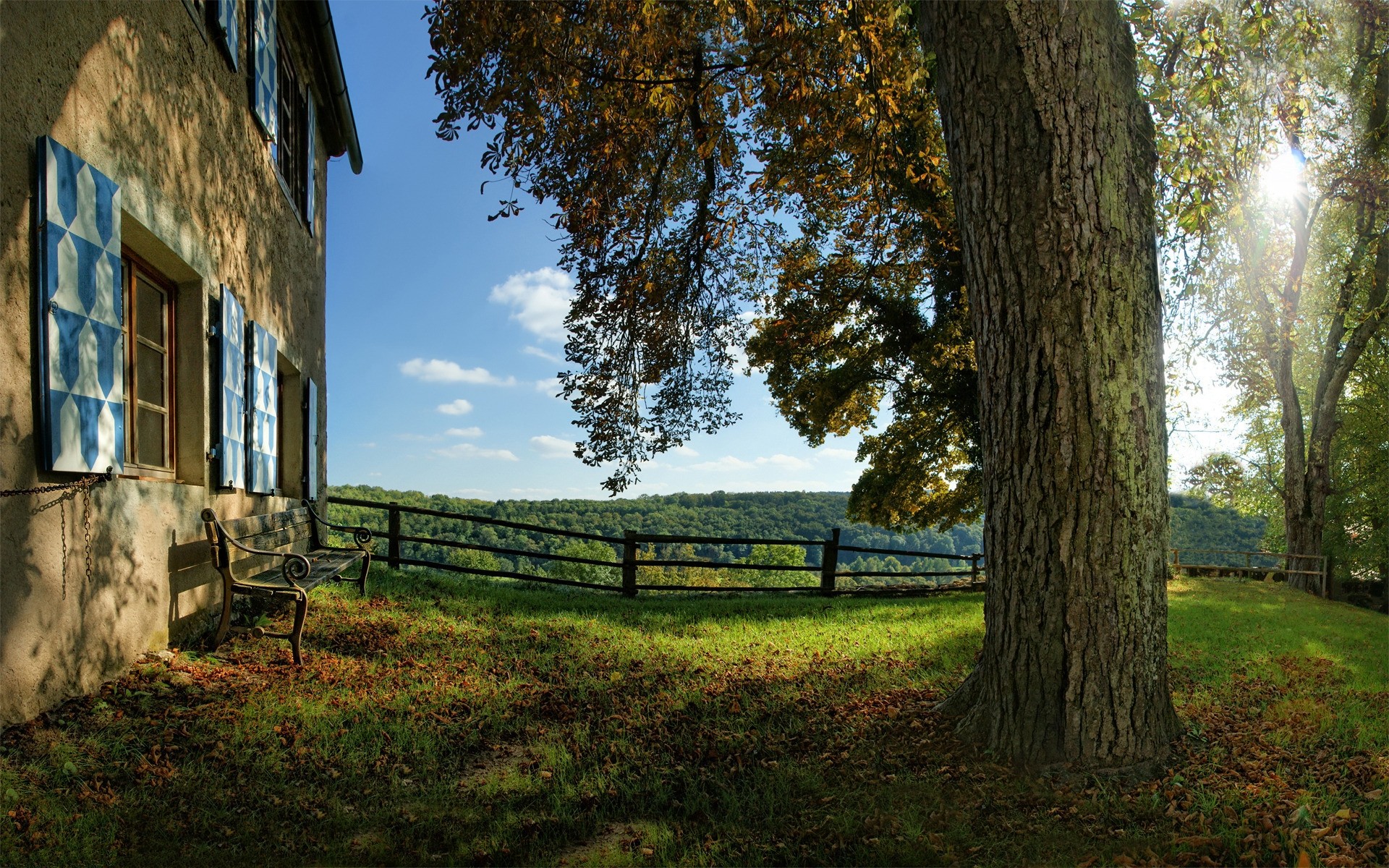 paesaggio albero di legno all aperto natura paesaggio erba cielo viaggio autunno luce del giorno estate recinzione luce alberi verde sfondo