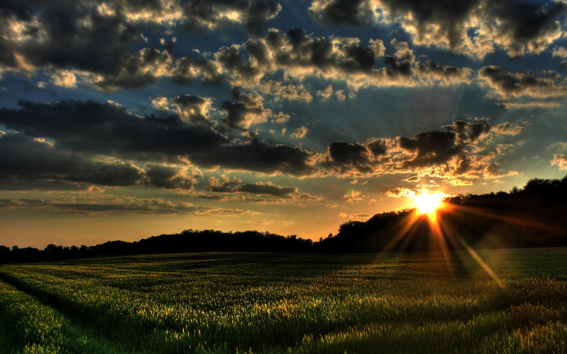 landscapes sunset sun dawn landscape nature sky rural field fair weather countryside grass agriculture cloud evening farm dramatic plants clouds background dark