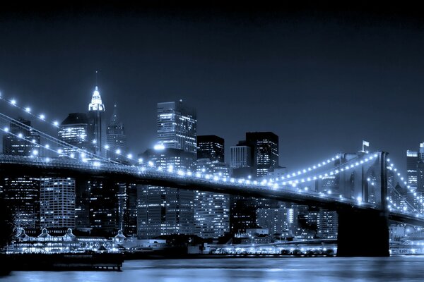 Beautiful bridge across the river in the USA