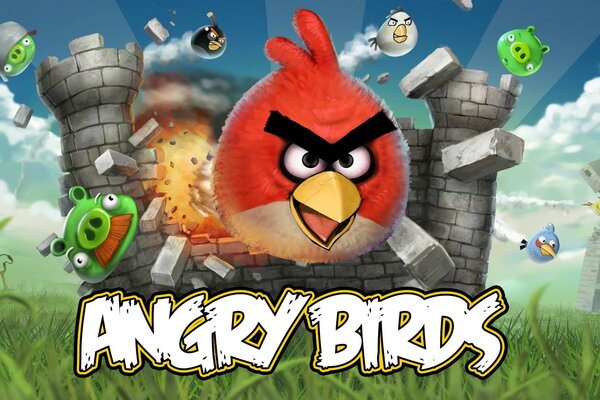 Angry Birds illustration pour le jeu