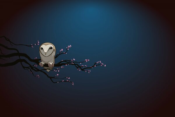 Drawing of an owl on a sakura branch