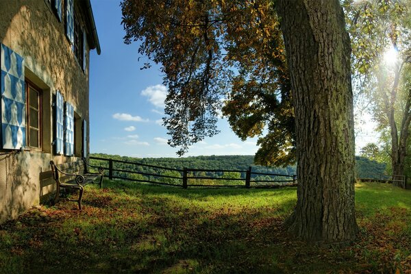 Albero della vita resti di lusso