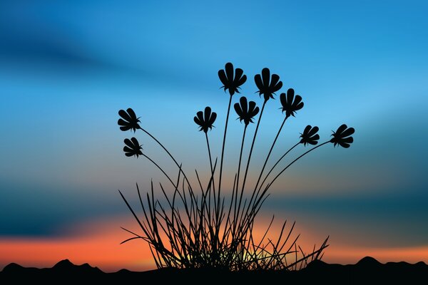 Flores al atardecer sol y cielo