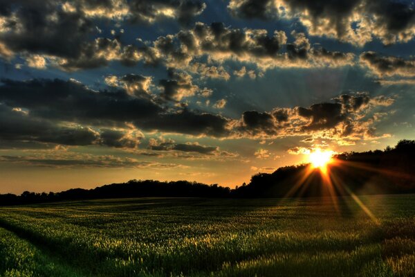 An unusual sunset landscape over a meadow