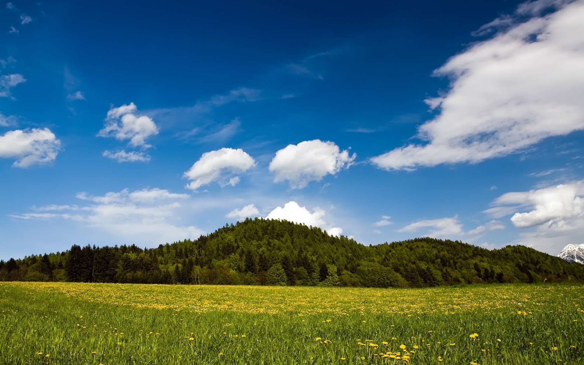 printemps paysage ciel nature champ été herbe à l extérieur rural nuage campagne arbre agriculture beau temps pâturage ferme soleil foin idylle horizon