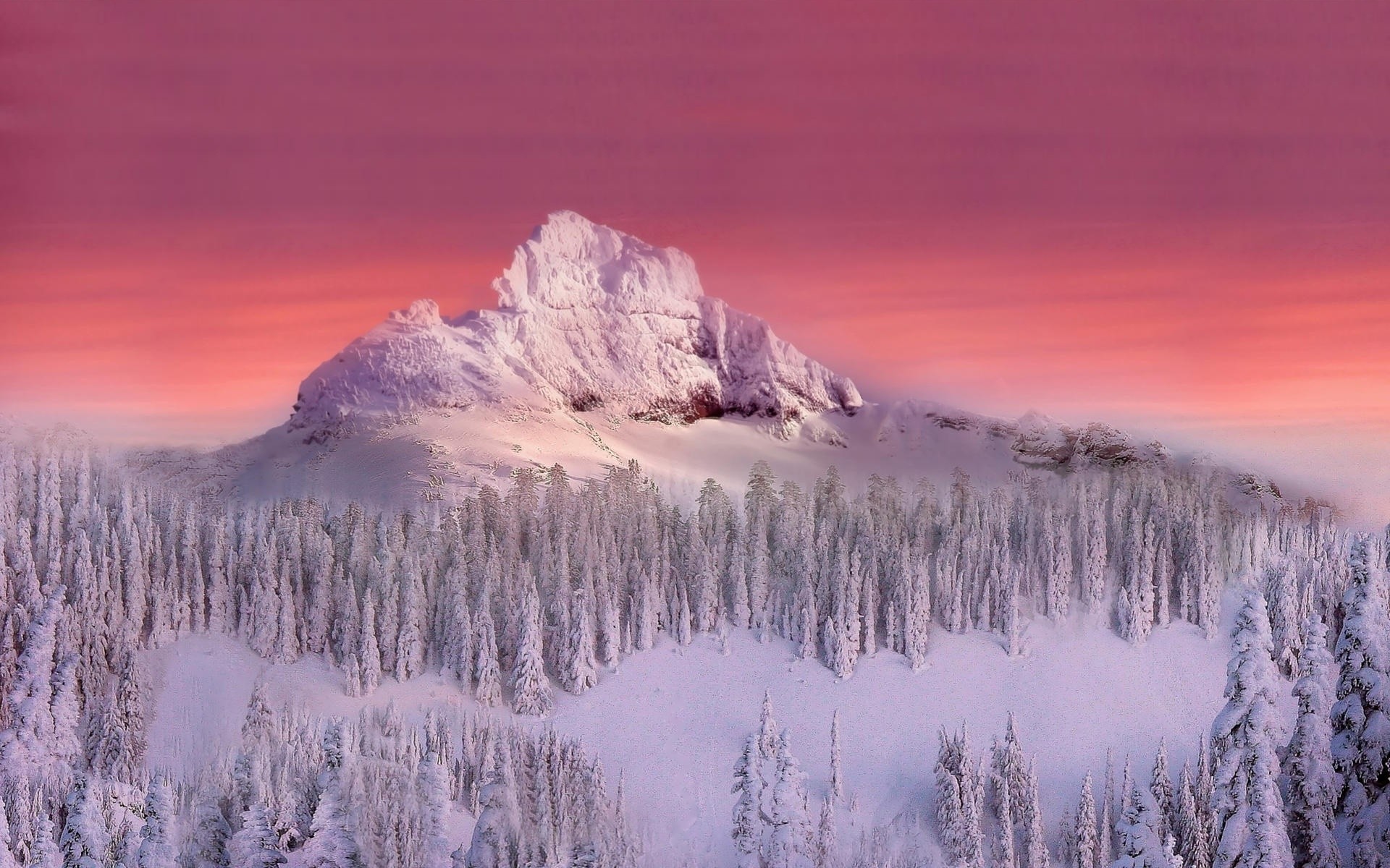 winter snow dawn mountain sunset landscape ice cold scenic nature outdoors evening travel wood sky pinnacle