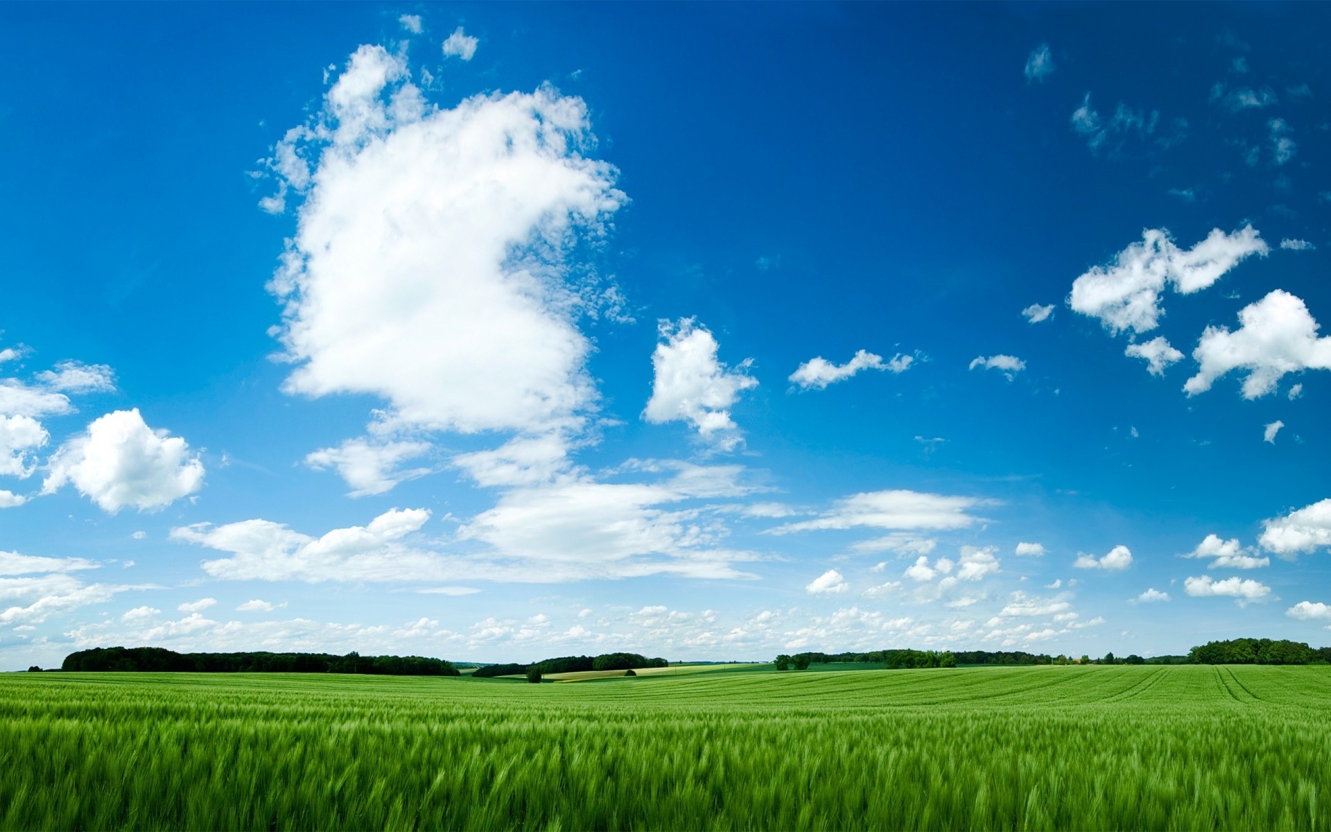 summer rural pasture grass countryside nature field outdoors farm agriculture fair weather sky farmland idyllic growth soil sun hayfield green blue