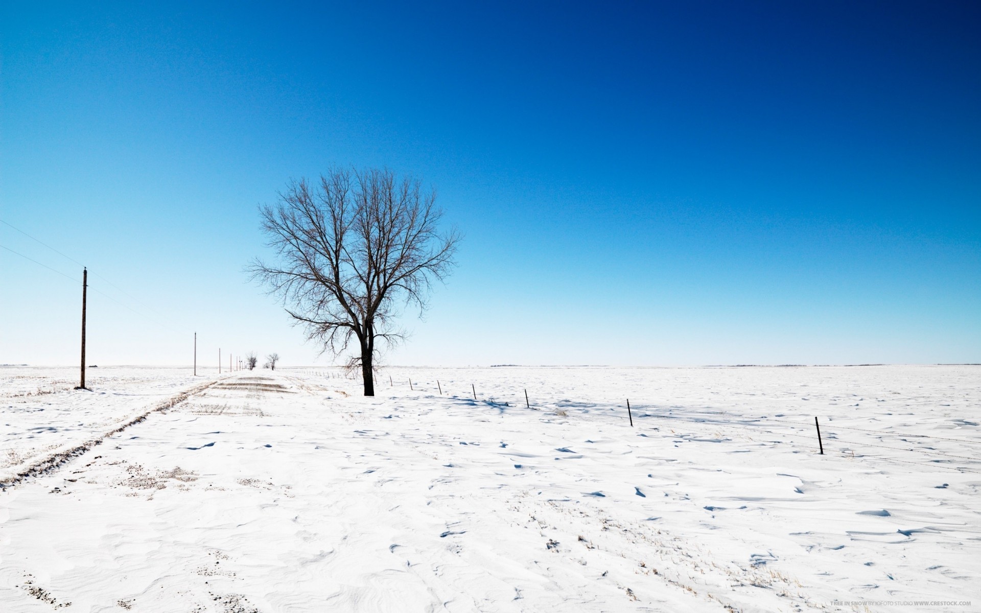 winter schnee landschaft natur kälte wetter frost baum himmel saison gefroren gutes wetter eis im freien