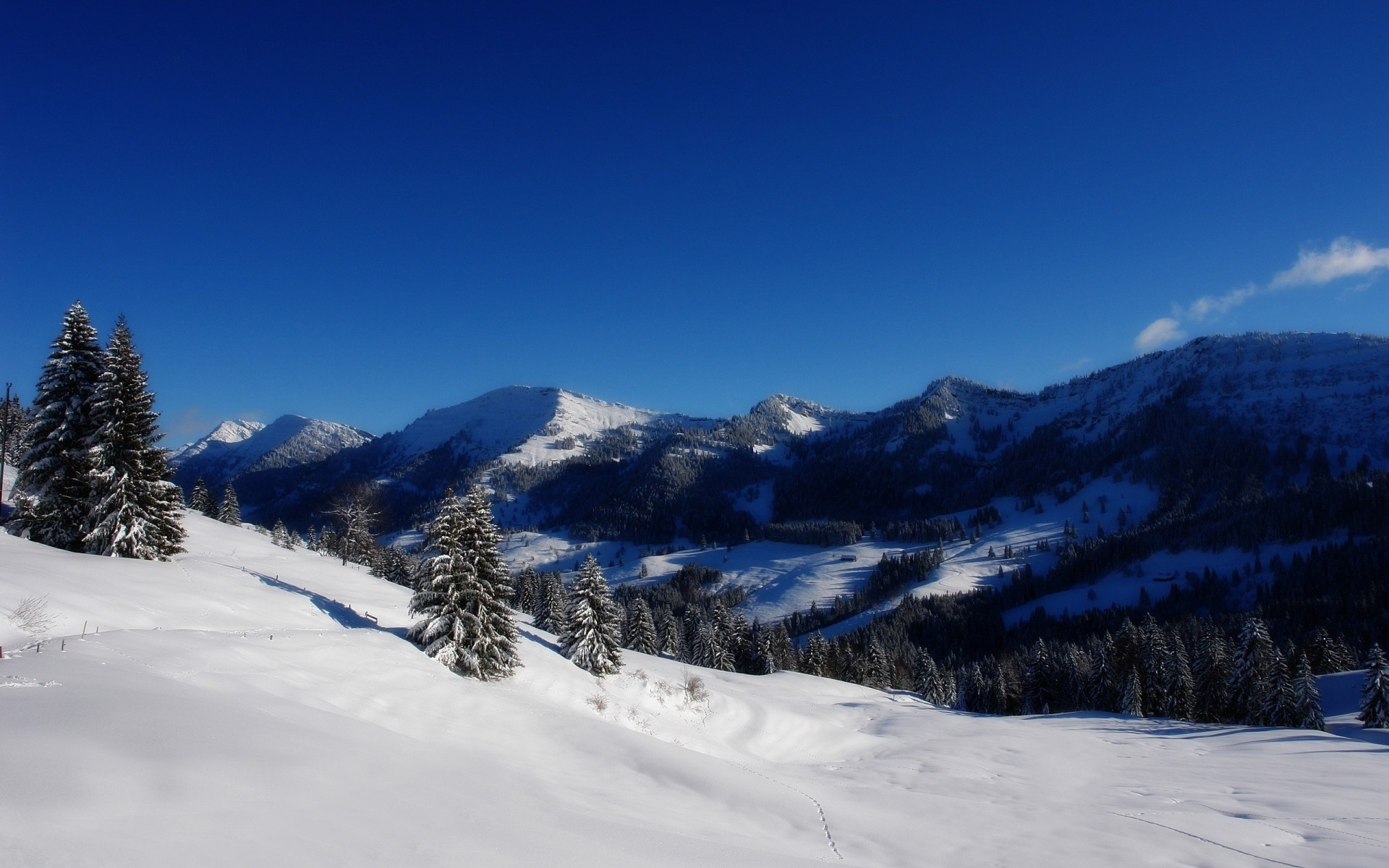 hiver neige montagne froid bois glace scénique paysage pic de montagne evergreen colline station gel bois