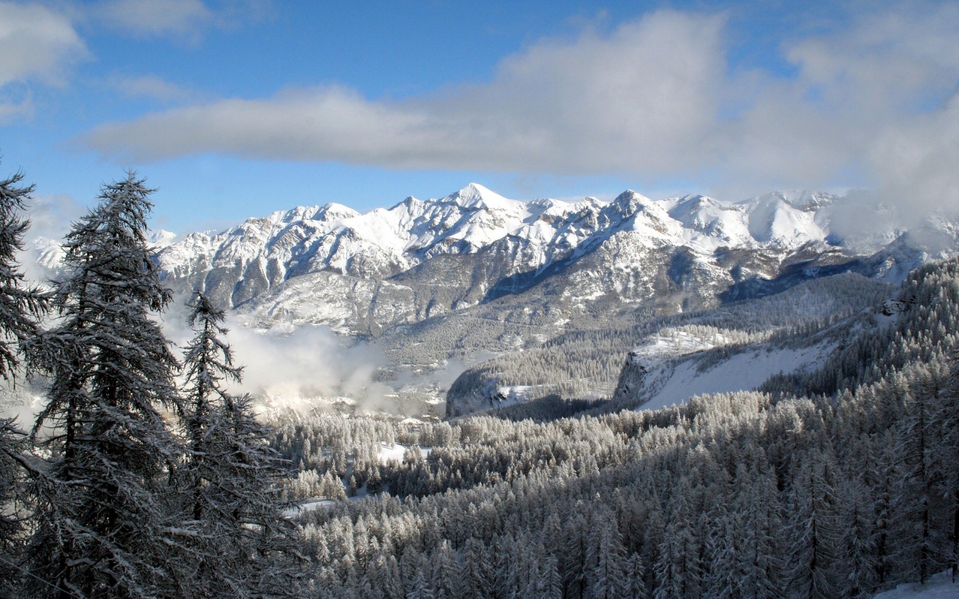 hiver neige montagne bois froid glace scénique neigeux gel paysage evergreen pic de montagne conifères