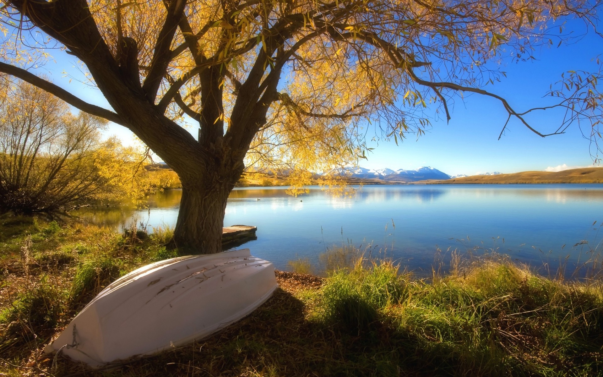 autunno albero paesaggio alba autunno lago acqua natura tramonto all aperto legno scenico riflessione cielo foglia sera sole bel tempo